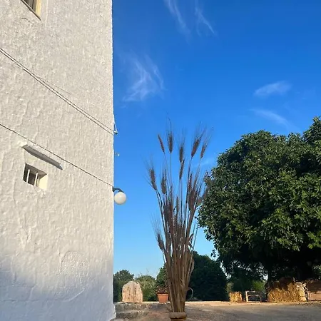 펜션 Masseria Helianthus