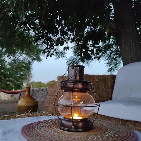 펜션 Masseria Helianthus *